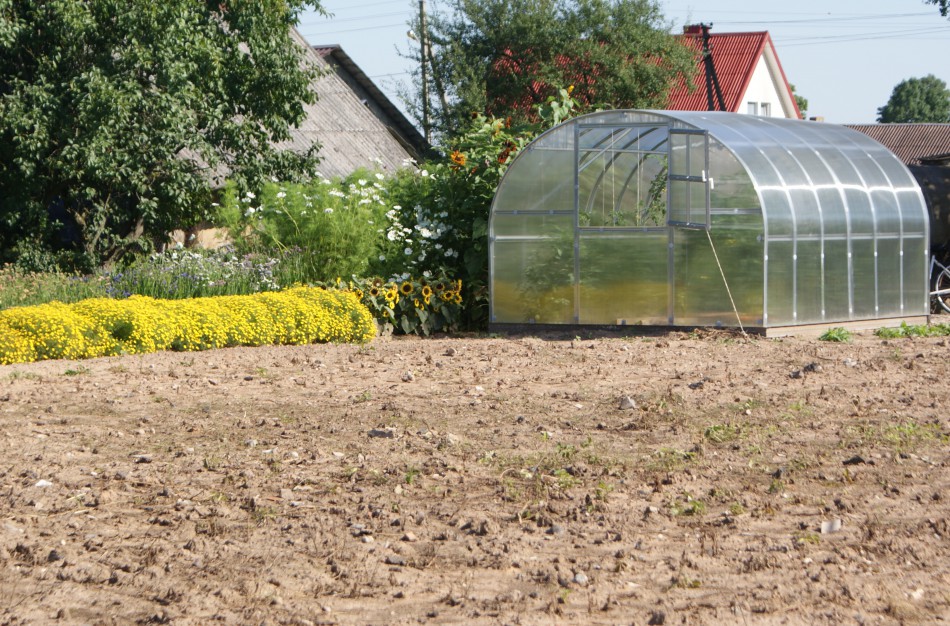 Per keletą mėnesių vienas specialistas sugebėjo rasti 16 vaikus globoti pasiryžusių žmonių
