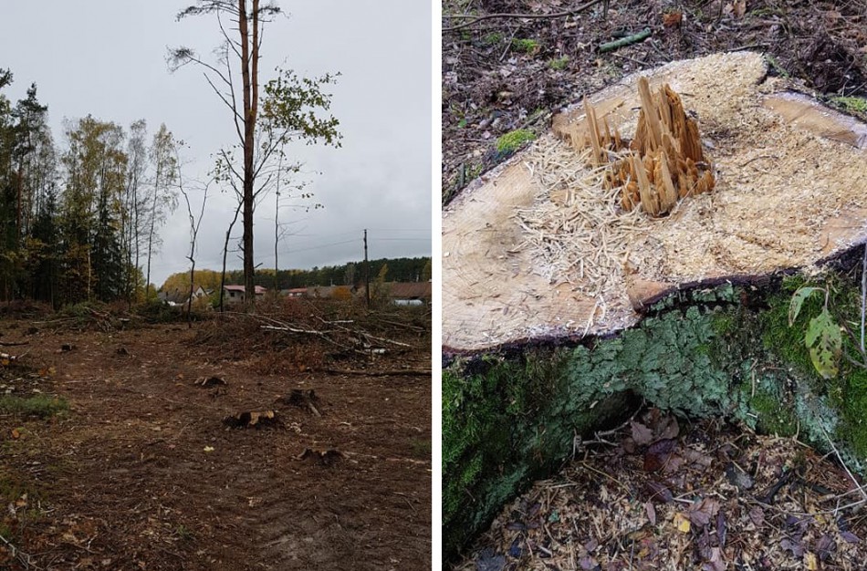 Šveicariškių pagalbos šauksmas neišgirstas