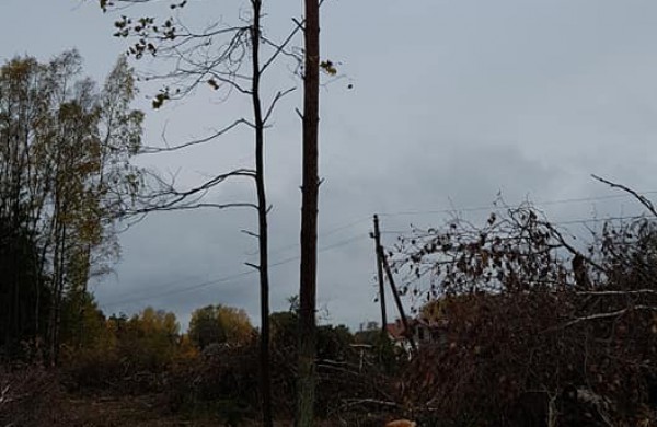 Šveicariškių pagalbos šauksmas neišgirstas