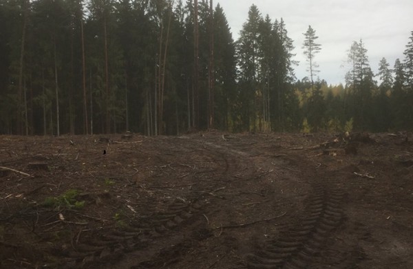 Šveicariškių pagalbos šauksmas neišgirstas