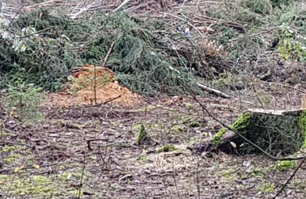 Šveicariškių pagalbos šauksmas neišgirstas