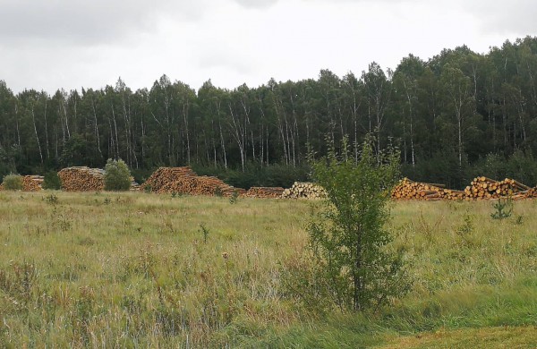 Šveicariškių pagalbos šauksmas neišgirstas