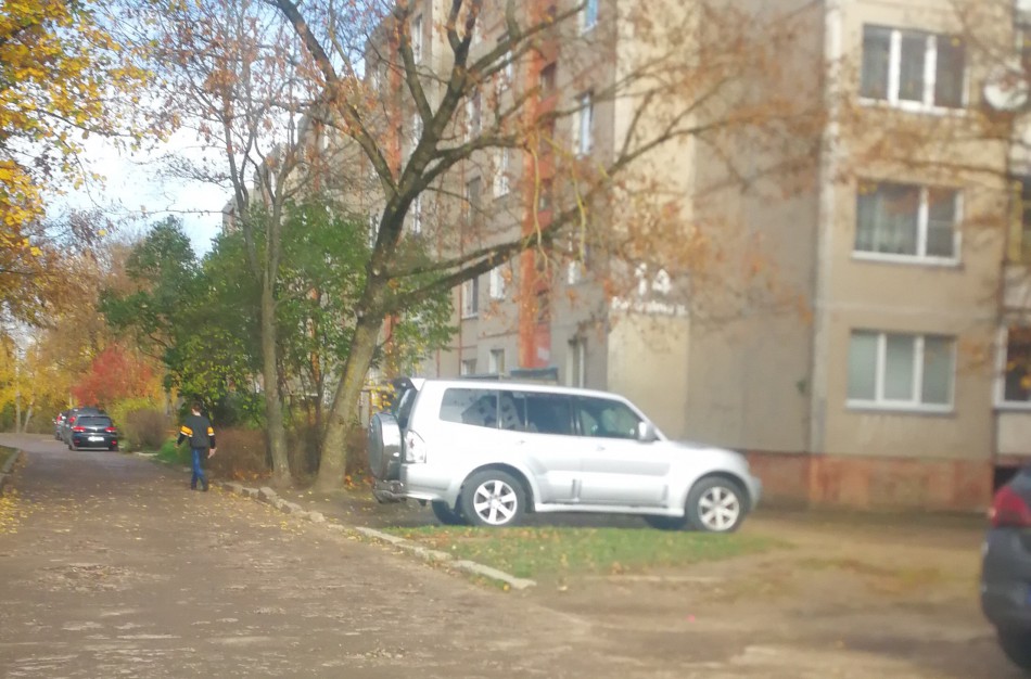 Bausti negalima pasigailėti - kur dėti kablelį?