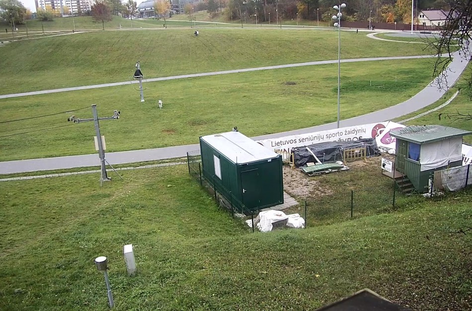 Dar vienas pranešimas apie vagiamus krokų sodinukus