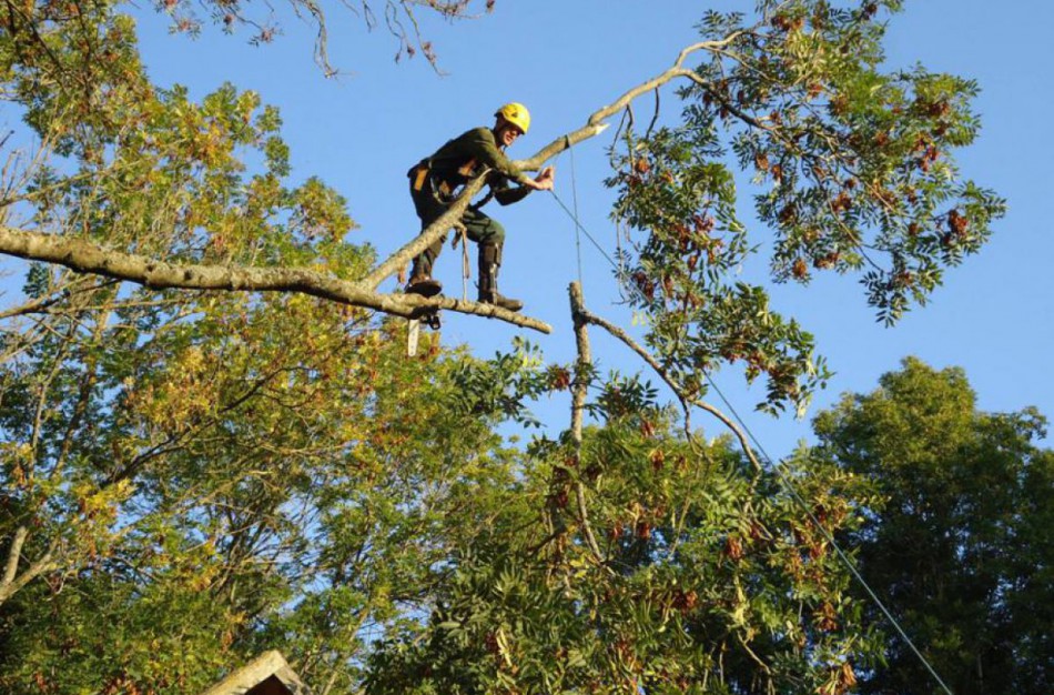 VDI pradeda informacinę kampaniją „Atsargiai – aukštis!“