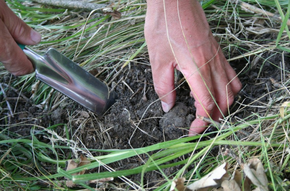 Kaip apsaugoti dirvožemį nuo pavojingų cheminių medžiagų