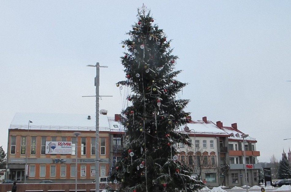 Seniūnai vieningi – seniūnijų puošybai reiktų lėšų