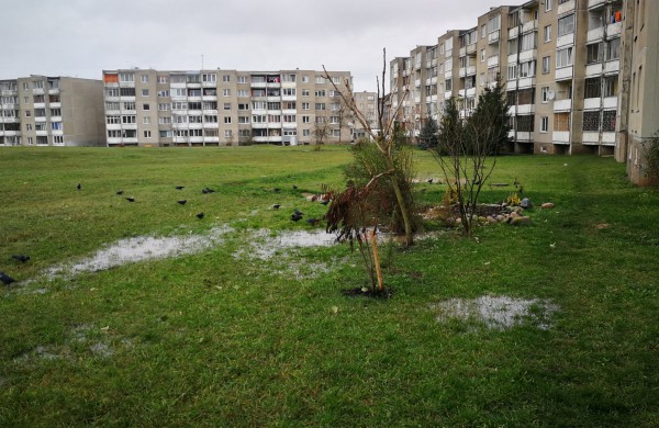 Dėl trūkusio vamzdžio keturių namų gyventojams laikinai nutrauktas vandens tiekimas