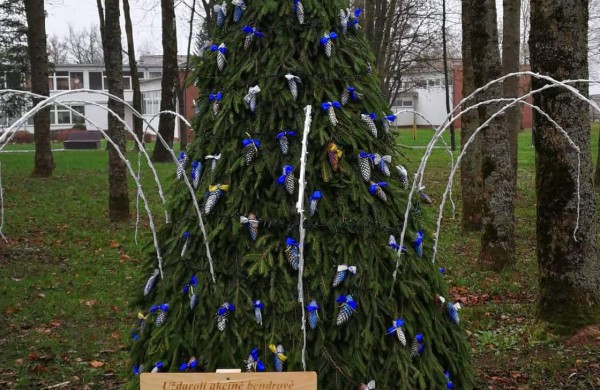 Miesto parke kuriasi stebuklingas kalėdinių eglučių miestelis 