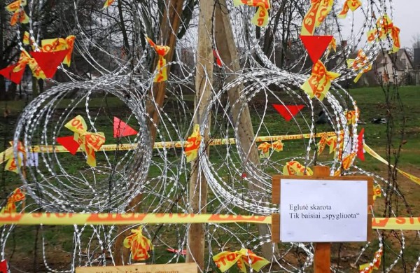 Miesto parke kuriasi stebuklingas kalėdinių eglučių miestelis 