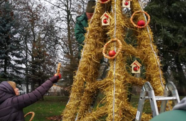 Miesto parke kuriasi stebuklingas kalėdinių eglučių miestelis 