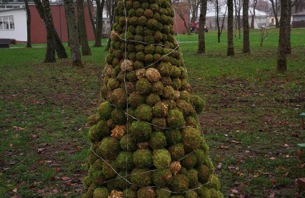 Miesto parke kuriasi stebuklingas kalėdinių eglučių miestelis 
