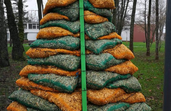 Miesto parke kuriasi stebuklingas kalėdinių eglučių miestelis 