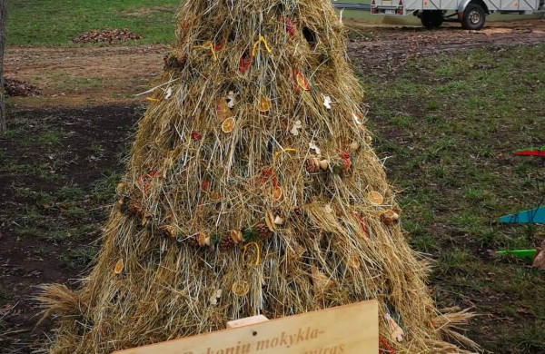 Miesto parke kuriasi stebuklingas kalėdinių eglučių miestelis 