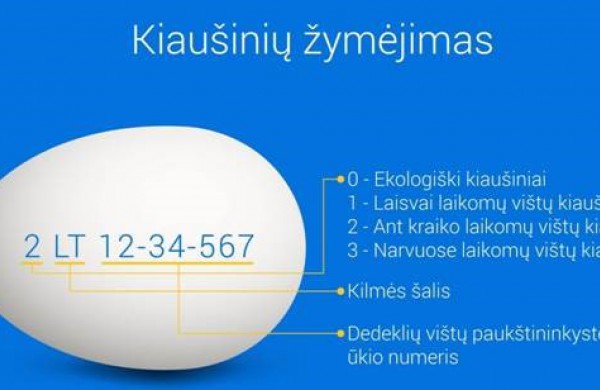 Kiaušinių ženklinimas – ką vartotojai turėtų žinoti?