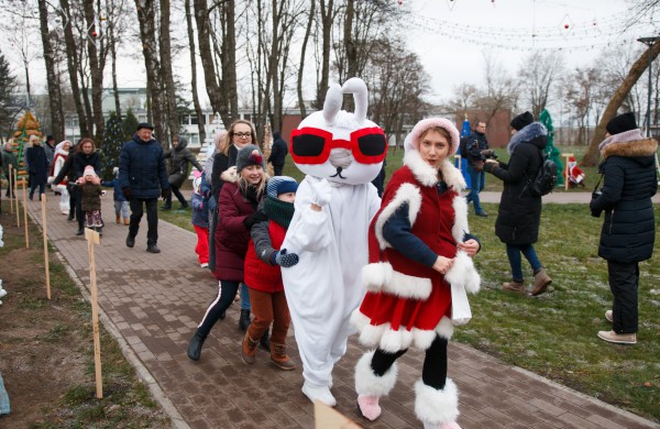 Jonavoje atidarytas unikalus Kalėdinių eglučių miestelis