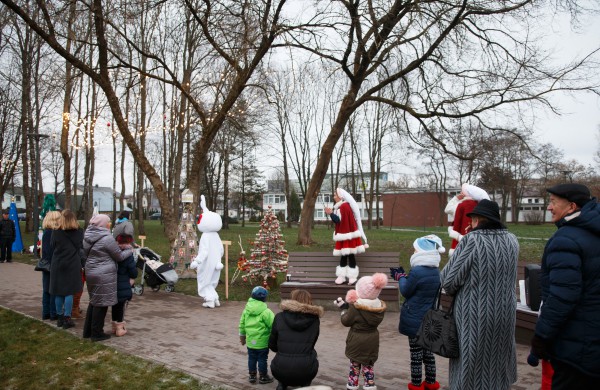 Jonavoje atidarytas unikalus Kalėdinių eglučių miestelis