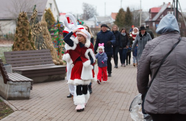 Jonavoje atidarytas unikalus Kalėdinių eglučių miestelis