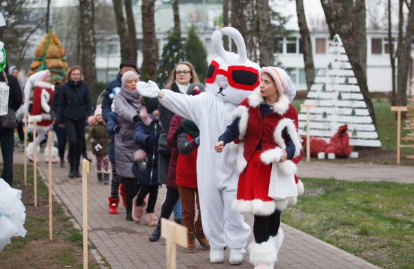 Jonavoje atidarytas unikalus Kalėdinių eglučių miestelis