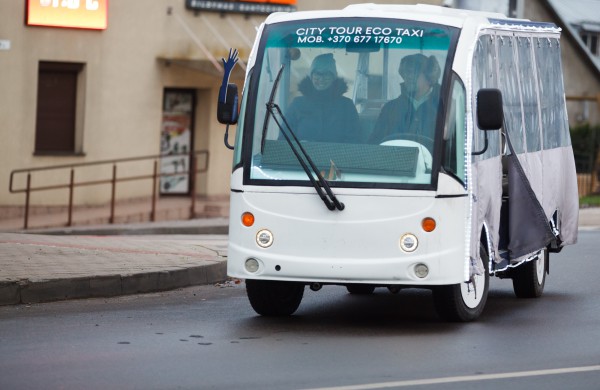 Jonavoje atidarytas unikalus Kalėdinių eglučių miestelis