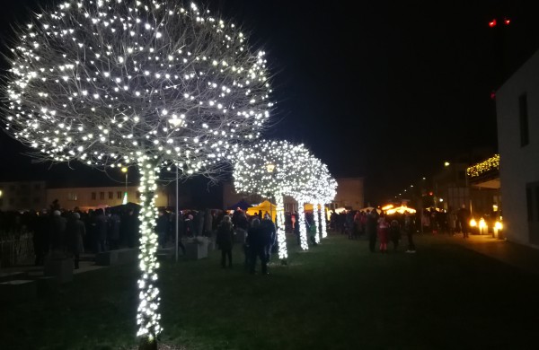 Įžiebta miesto puošmena – Kalėdų eglė