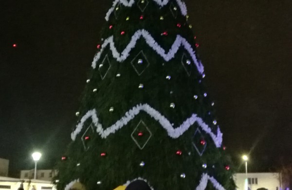Įžiebta miesto puošmena – Kalėdų eglė