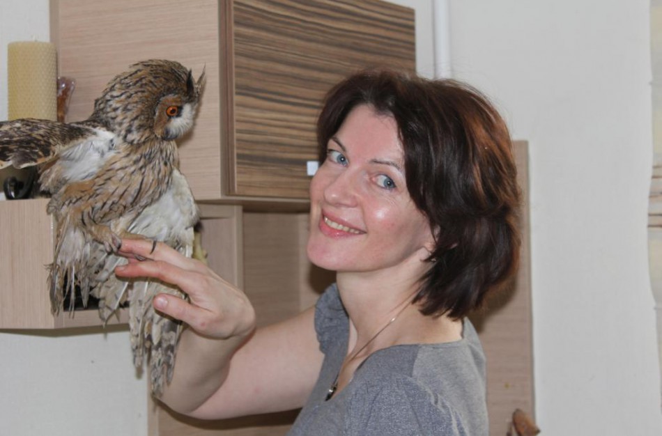 Plėšrus miško paukštis sotų gyvenimą rado medikės namuose