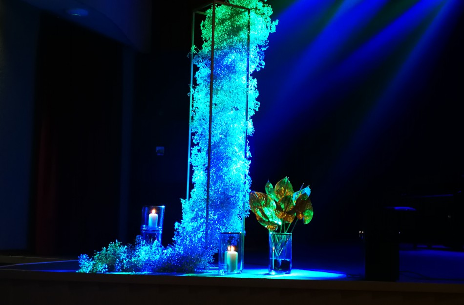 Mero padėkos vakare „Krištolinės gulbės“ rado savo šeimininkus  