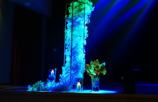 Mero padėkos vakare „Krištolinės gulbės“ rado savo šeimininkus  