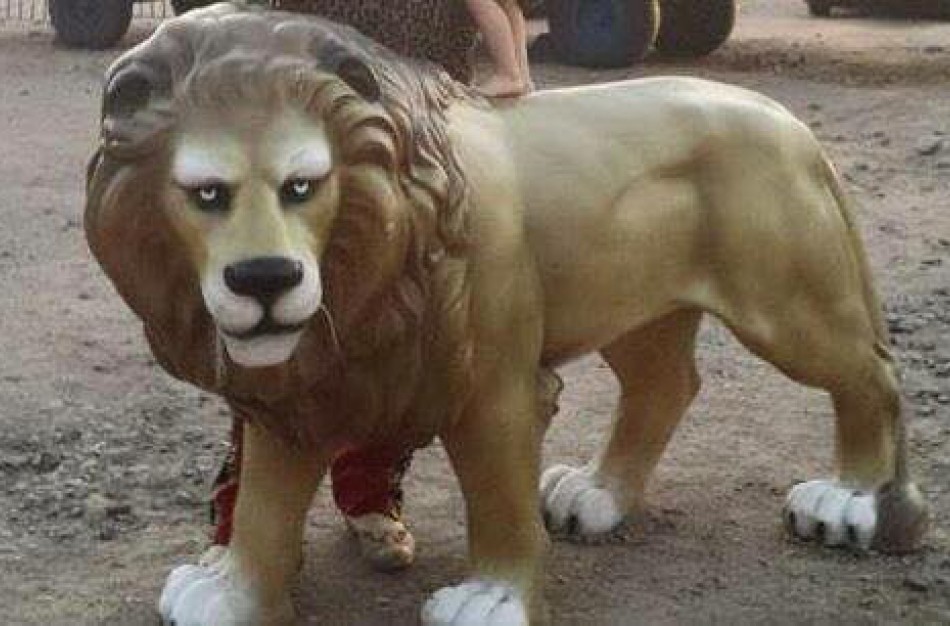 Įžūli vagystė – viduryje dienos pavogta maždaug 50 kilogramų sverianti liūto skulptūra