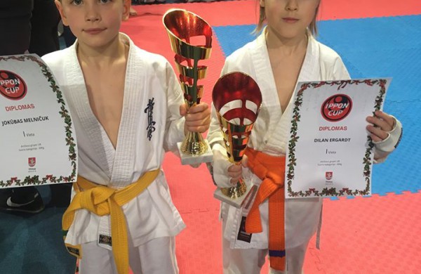 Vilniuje vyko tradicinis turnyras „Kalėdinis Ippon Cup 2019"