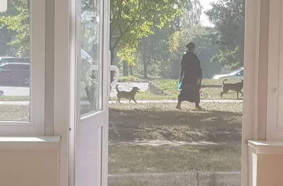 Šuns įbauginti jonaviečiai atsikvėpė neilgam: šeimininkė sugalvojo, kaip susigrąžinti konfiskuotą augintinį 