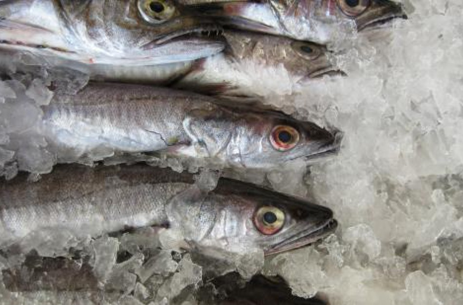 Šventėms artėjant, didesnis dėmesys žuvų produktų kokybei