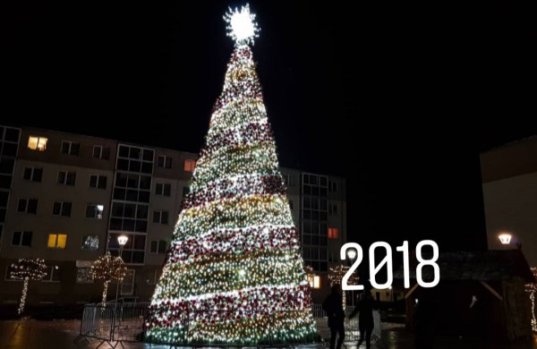 Apklausos dalyviai pasakė, kuri miesto eglutė gražiausia jiems: daugiausiai simpatijų pelnė dvi