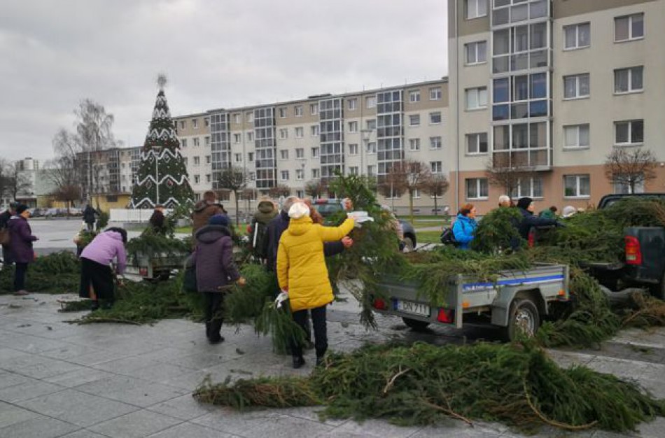 Išdalinta tūkstančiai nemokamų eglučių šakų ir 10 tonų kankorėžių