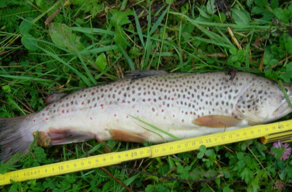 Atmintinė žvejams sausį