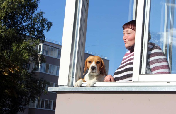 Jonavoje minima Būsto diena