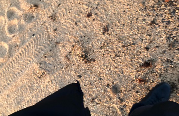 Šį rytą registruoti jau 4 eismo įvykiai