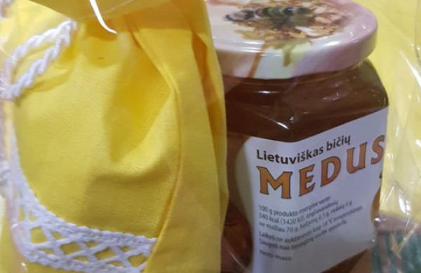 Šveicarijos progimnazija – bitučių mokykla