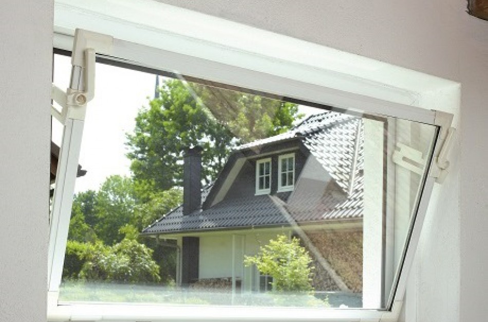 Kaimynių „karas“ dėl rūsio – vienai šalta, kitai labiau rūpi bulvės?