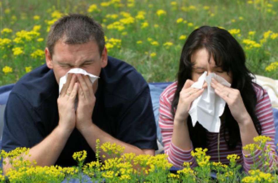 „Eurovaistinė“ perspėja apie jau pasireiškiančią pavasario alergiją