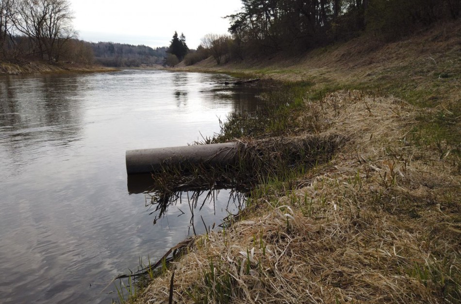 Seimas sugriežtino aplinkos apsaugos valstybinę kontrolę