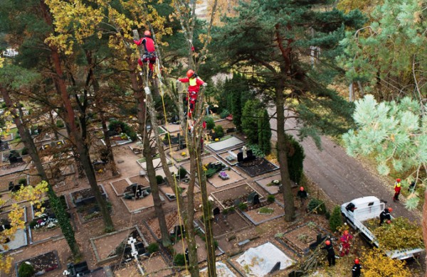 Skaitytojas: Ar tai normalu? Darbuotojas - be šalmo, o medžius pjauna virš žmonių galvų