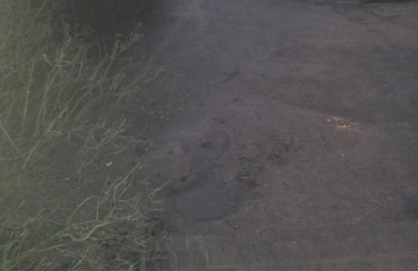 Situacija kartojasi: fekalijos ant Rimkų laiptelių – ar buvo ir bus sprendžiama problema?