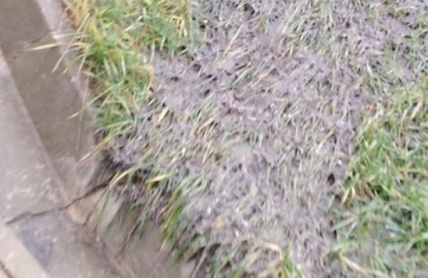 Situacija kartojasi: fekalijos ant Rimkų laiptelių – ar buvo ir bus sprendžiama problema?