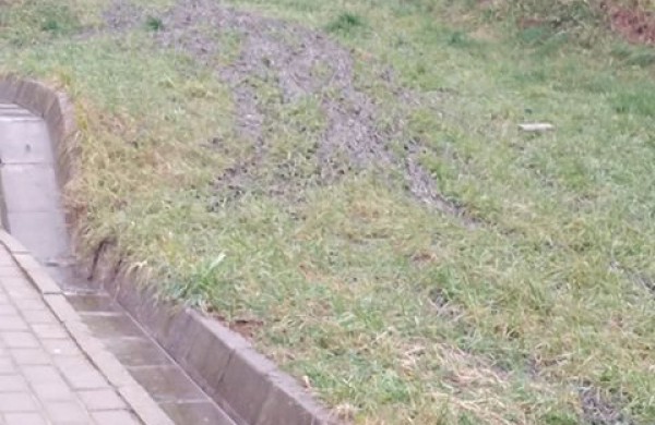 Situacija kartojasi: fekalijos ant Rimkų laiptelių – ar buvo ir bus sprendžiama problema?