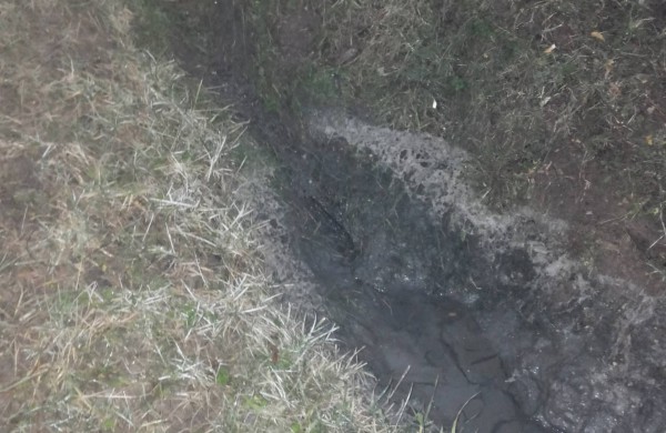 Situacija kartojasi: fekalijos ant Rimkų laiptelių – ar buvo ir bus sprendžiama problema?