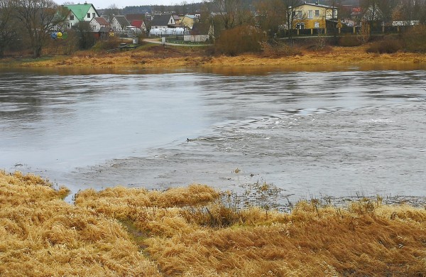 Pakilęs Neries upės vanduo išgąsdino jonaviečius: Ar jau laukti potvynio? 