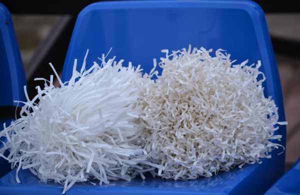 Nei vieno keitimo neatlikusi „Lietava“ triumfavo prieš „Panevėžį“