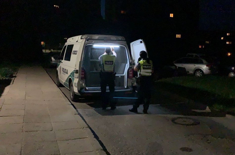 Neblaivus karys smurtavo prieš moterį